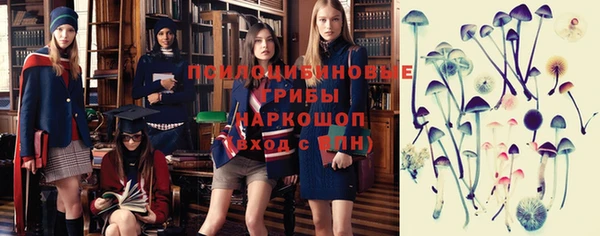 спиды Володарск