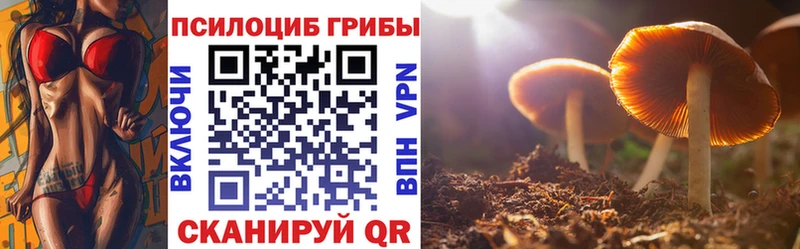 Купить где  Аргун  Галлюциногенные грибы мицелий 